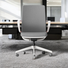 Load image into Gallery viewer, TaskFlex Premier Ergonomic Office Chair - Mr Nanyang