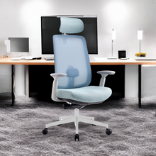 Load image into Gallery viewer, Infinity Mesh Office Ergonomic Chair - Mr Nanyang
