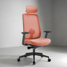 Load image into Gallery viewer, Infinity Mesh Office Ergonomic Chair - Mr Nanyang