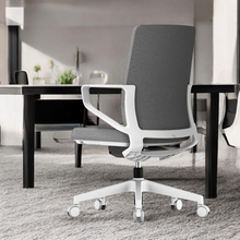 Load image into Gallery viewer, TaskFlex Premier Ergonomic Office Chair - Mr Nanyang