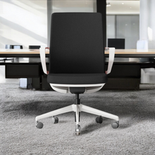 Load image into Gallery viewer, TaskFlex Premier Ergonomic Office Chair - Mr Nanyang