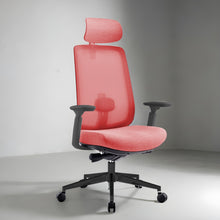 Load image into Gallery viewer, Infinity Mesh Office Ergonomic Chair - Mr Nanyang