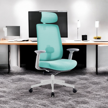 Load image into Gallery viewer, Infinity Mesh Office Ergonomic Chair - Mr Nanyang