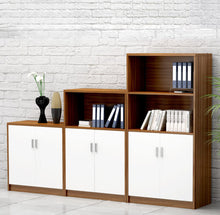 Load image into Gallery viewer, ProVault Office Cabinet and Storage - Mr Nanyang