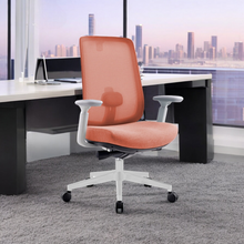 Load image into Gallery viewer, Infinity Mesh Office Ergonomic Chair - Mr Nanyang