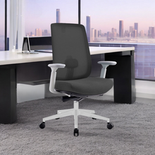 Load image into Gallery viewer, Infinity Mesh Office Ergonomic Chair - Mr Nanyang