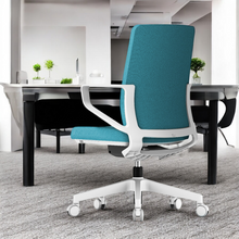 Load image into Gallery viewer, TaskFlex Premier Ergonomic Office Chair - Mr Nanyang