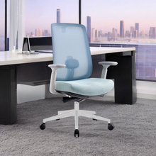 Load image into Gallery viewer, Infinity Mesh Office Ergonomic Chair - Mr Nanyang