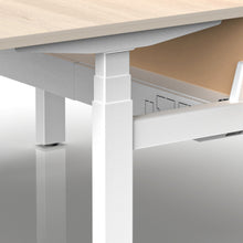 Load image into Gallery viewer, DuoFlex 2-Person Office Adjustable Table - Mr Nanyang