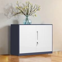 Load image into Gallery viewer, Half-height Steel Cabinet with Swing Door - Mr Nanyang