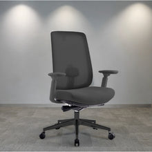 Load image into Gallery viewer, Infinity Mesh Office Ergonomic Chair - Mr Nanyang