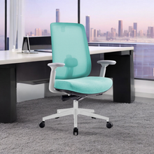 Load image into Gallery viewer, Infinity Mesh Office Ergonomic Chair - Mr Nanyang
