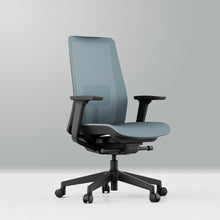 Load image into Gallery viewer, OptiSeat Max Ergonomic Office Chair - Mr Nanyang