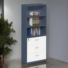 Load image into Gallery viewer, Professional Office Essential Filing Cabinet - Mr Nanyang