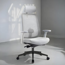 Load image into Gallery viewer, Infinity Mesh Office Ergonomic Chair - Mr Nanyang
