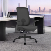 Load image into Gallery viewer, Infinity Mesh Office Ergonomic Chair - Mr Nanyang