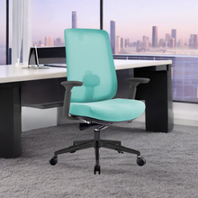 Load image into Gallery viewer, Infinity Mesh Office Ergonomic Chair - Mr Nanyang