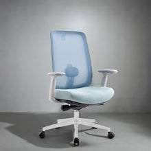 Load image into Gallery viewer, Infinity Mesh Office Ergonomic Chair - Mr Nanyang