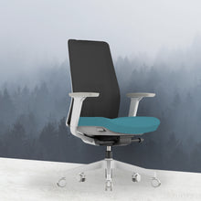 Load image into Gallery viewer, OptiSeat Pro Ergonomic Office Chair - Mr Nanyang