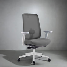 Load image into Gallery viewer, Infinity Mesh Office Ergonomic Chair - Mr Nanyang