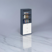 Load image into Gallery viewer, Professional Office Essential Filing Cabinet - Mr Nanyang