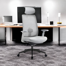 Load image into Gallery viewer, Infinity Mesh Office Ergonomic Chair - Mr Nanyang