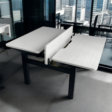 Load image into Gallery viewer, DuoFlex 2-Person Office Adjustable Table - Mr Nanyang