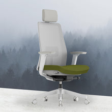 Load image into Gallery viewer, OptiSeat Pro Ergonomic Office Chair - Mr Nanyang