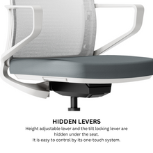 Load image into Gallery viewer, TaskFlex Premier Ergonomic Office Chair - Mr Nanyang