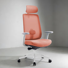 Load image into Gallery viewer, Infinity Mesh Office Ergonomic Chair - Mr Nanyang