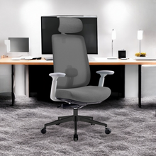 Load image into Gallery viewer, Infinity Mesh Office Ergonomic Chair - Mr Nanyang