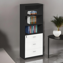 Load image into Gallery viewer, Professional Office Essential Filing Cabinet - Mr Nanyang