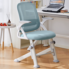 Load image into Gallery viewer, PosturePro Ergonomic Study Chair - Mr Nanyang