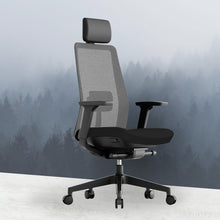 Load image into Gallery viewer, OptiSeat Pro Ergonomic Office Chair - Mr Nanyang