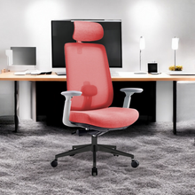 Load image into Gallery viewer, Infinity Mesh Office Ergonomic Chair - Mr Nanyang
