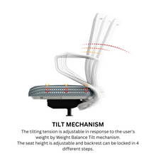 Load image into Gallery viewer, TaskFlex Premier Ergonomic Office Chair - Mr Nanyang