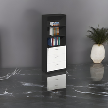 Load image into Gallery viewer, Professional Office Essential Filing Cabinet - Mr Nanyang