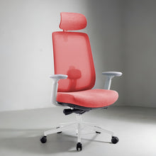 Load image into Gallery viewer, Infinity Mesh Office Ergonomic Chair - Mr Nanyang