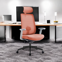 Load image into Gallery viewer, Infinity Mesh Office Ergonomic Chair - Mr Nanyang