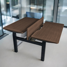 Load image into Gallery viewer, DuoFlex 2-Person Office Adjustable Table - Mr Nanyang