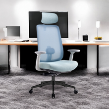 Load image into Gallery viewer, Infinity Mesh Office Ergonomic Chair - Mr Nanyang