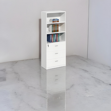 Load image into Gallery viewer, Professional Office Essential Filing Cabinet - Mr Nanyang