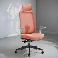 Load image into Gallery viewer, Infinity Mesh Office Ergonomic Chair - Mr Nanyang