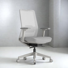 Load image into Gallery viewer, Daebak ComfortPlus Ergonomic Office Chair - Mr Nanyang