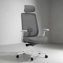 Load image into Gallery viewer, Infinity Mesh Office Ergonomic Chair - Mr Nanyang