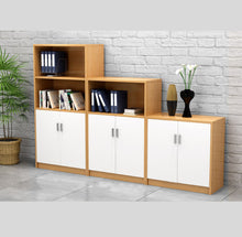 Load image into Gallery viewer, ProVault Office Cabinet and Storage - Mr Nanyang