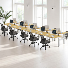 Load image into Gallery viewer, ProStation Adjustable Standing Desks - Mr Nanyang