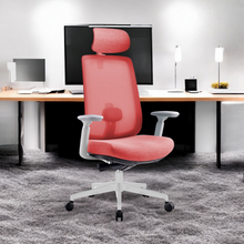 Load image into Gallery viewer, Infinity Mesh Office Ergonomic Chair - Mr Nanyang