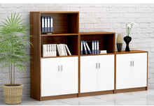 Load image into Gallery viewer, ProVault Office Cabinet and Storage - Mr Nanyang