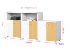 Load image into Gallery viewer, SleekLite Office Storage Cabinet - Mr Nanyang